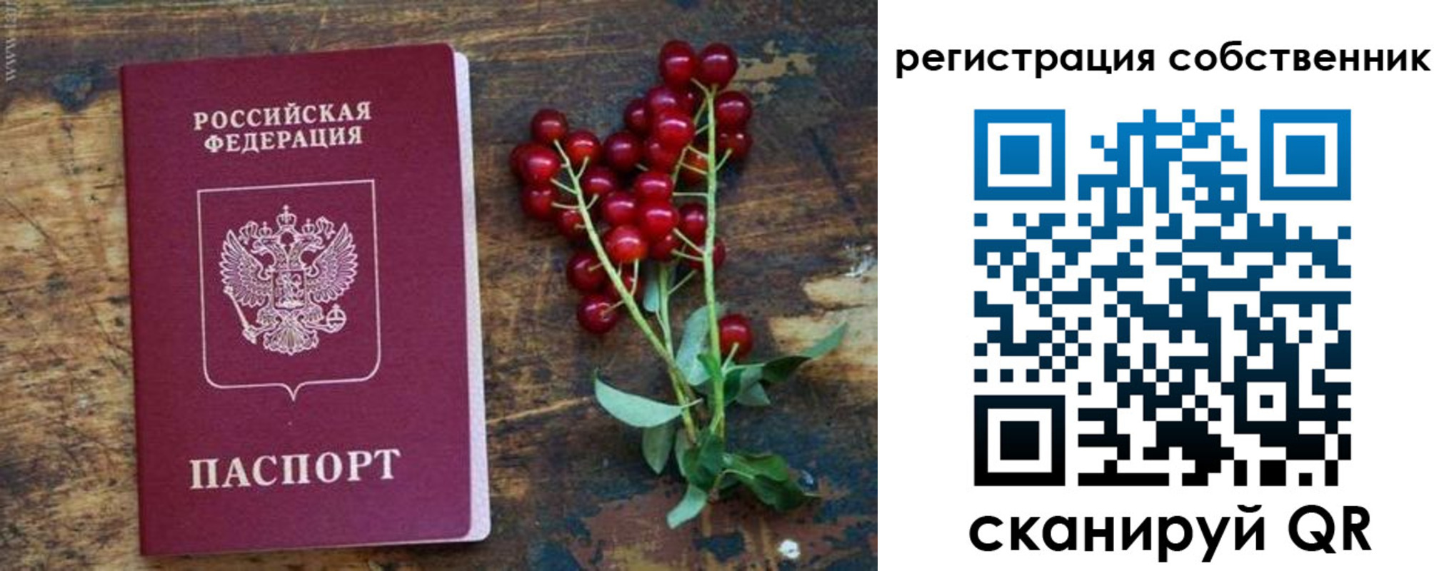 регистрация для дет. сада в Шуе